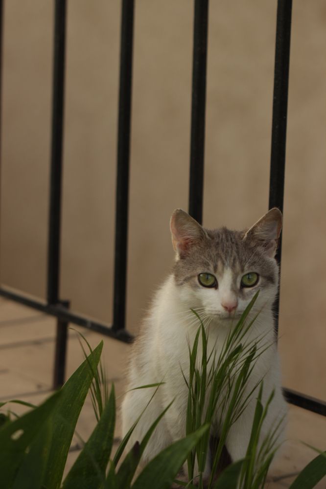 Photograph by Владимир Ясюкевич