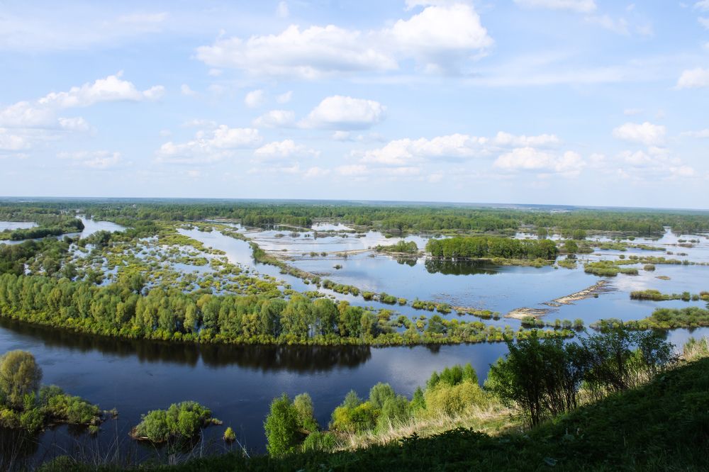 Весенний разлив