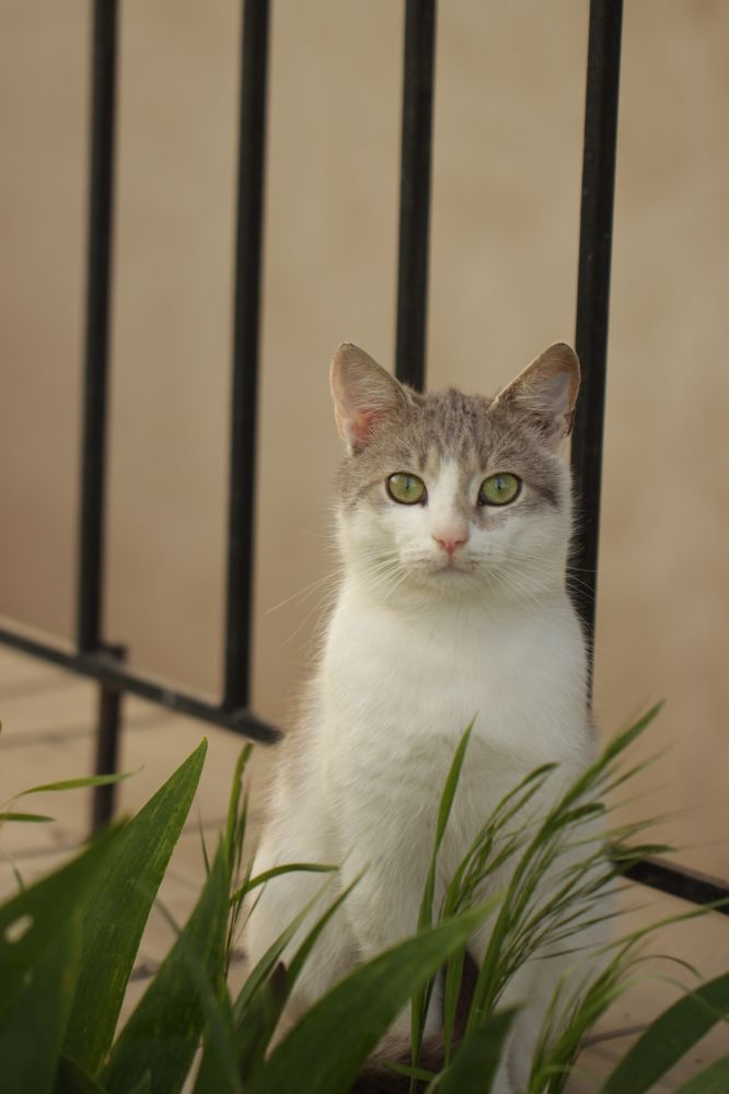 Photograph by Владимир Ясюкевич