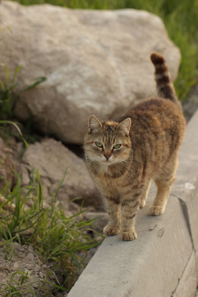 Photograph by Владимир Ясюкевич