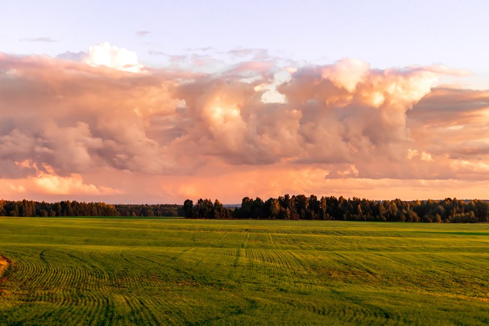 Photograph by Никита Волокитин