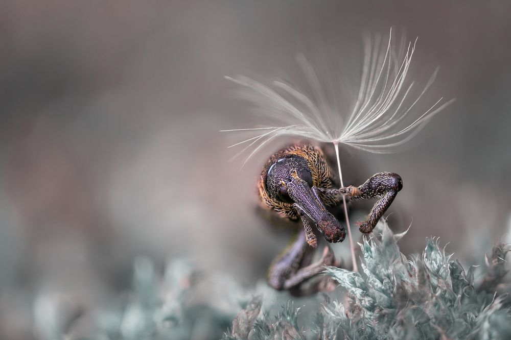 Photograph by Сергей Романченко