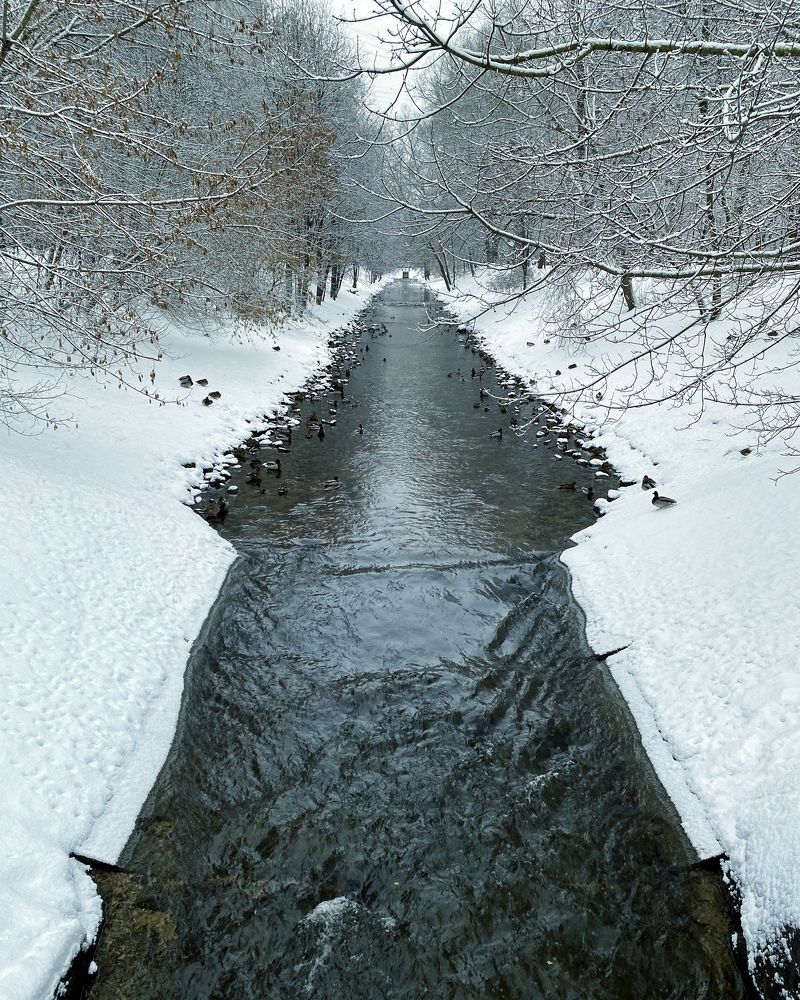 Фотография автора Кирилл Литовский