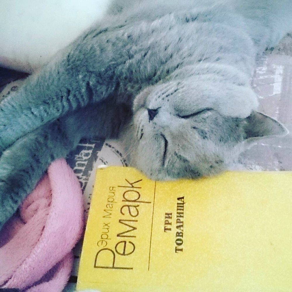 Photograph by Галина Кудрявцева