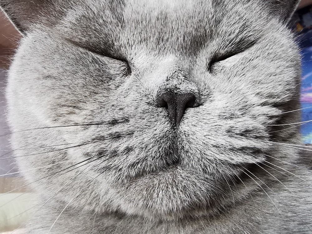 На всё наспать.