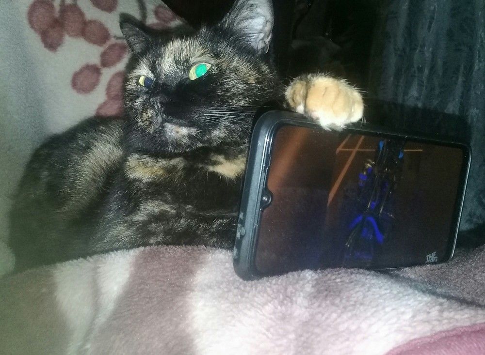 Photograph by Маргарита Сирик