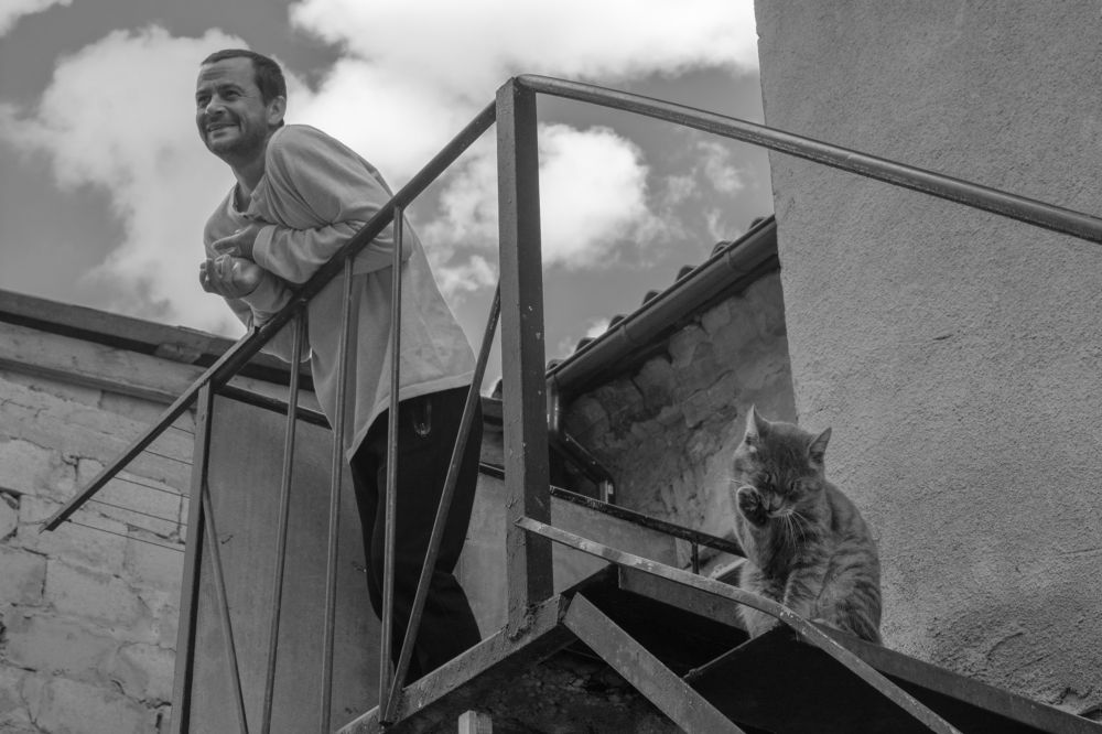 Человек и кошка