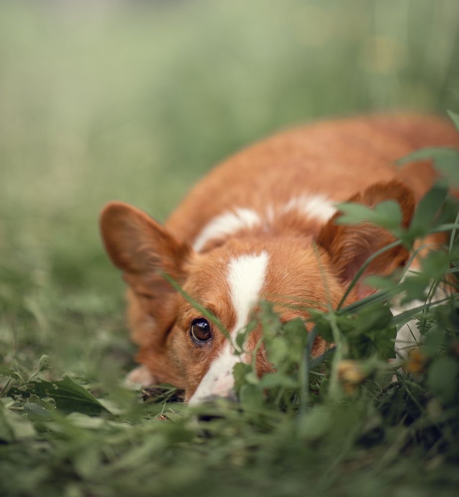 Photograph by LIDIYA HOLD