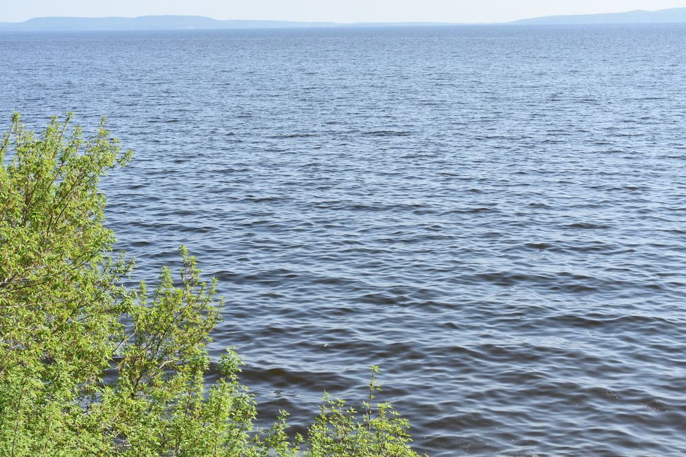 Photograph by Любовь Панфилова