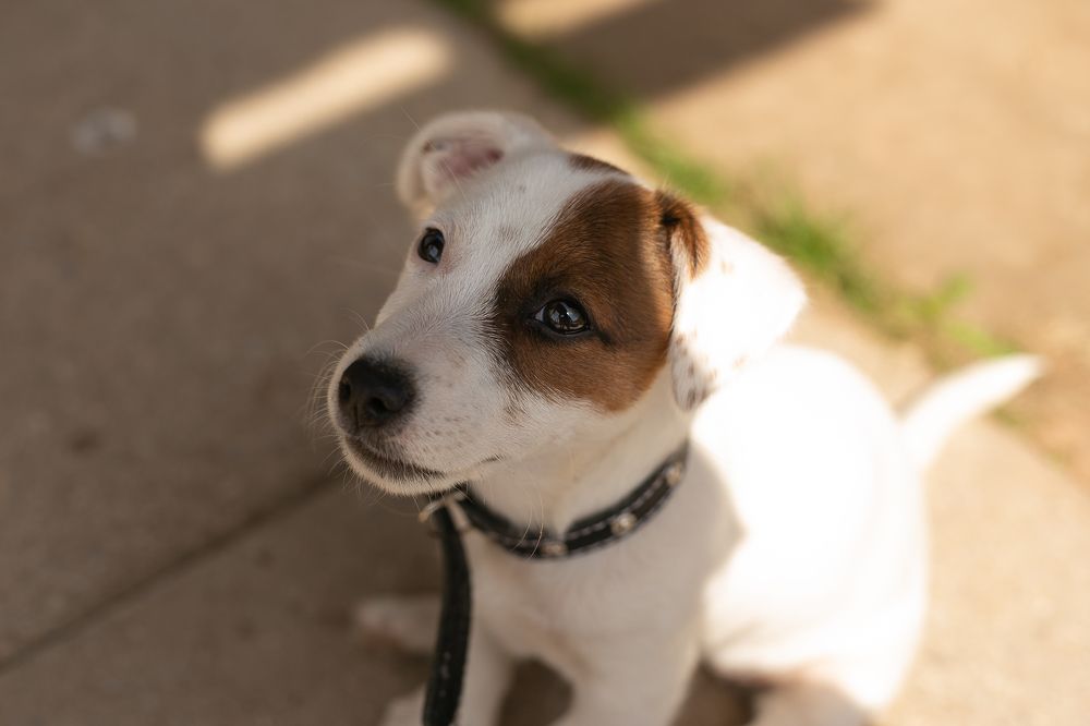 Photograph by Светлана Кузнецова