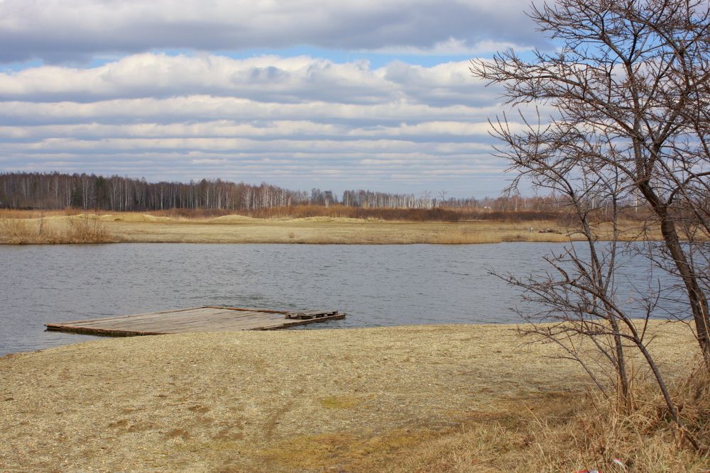 Фотография автора Nelya  Lysenko