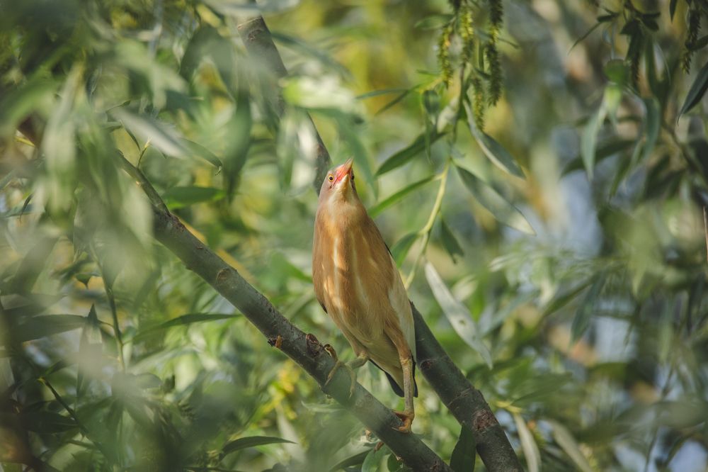 Photograph by Алексей Кашин