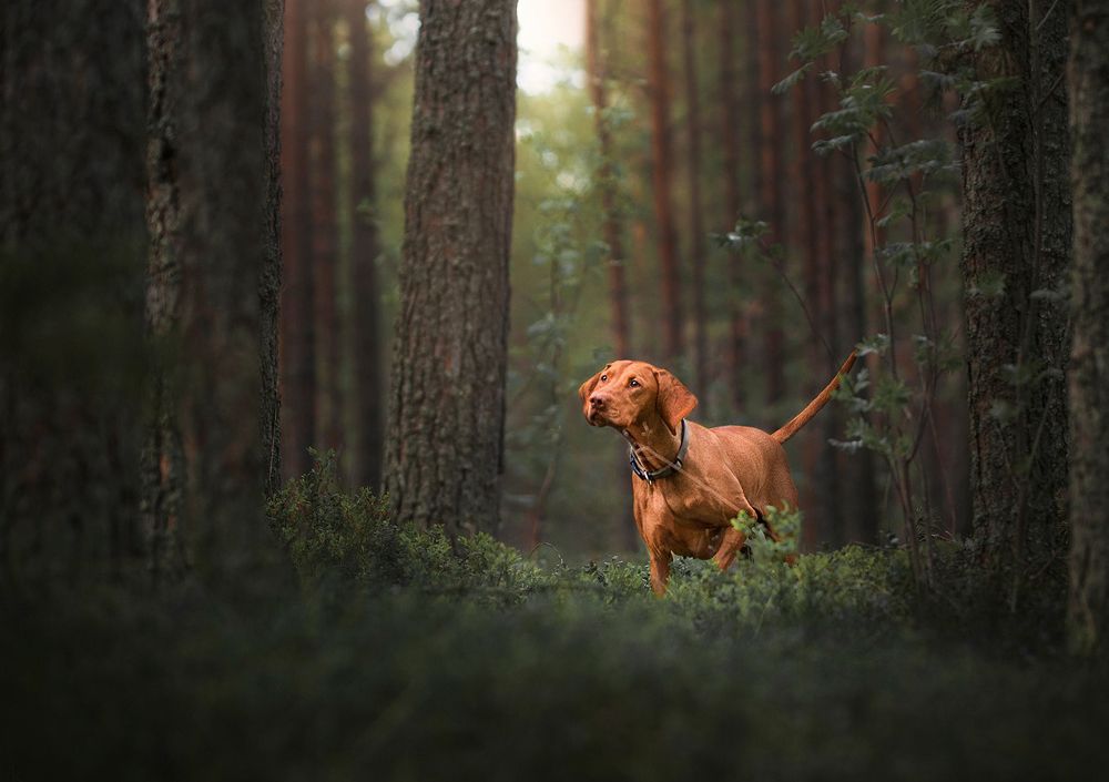 Photograph by Karina Saarestik