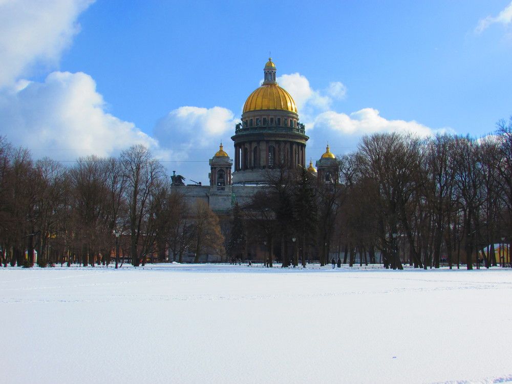 Photo #6140031