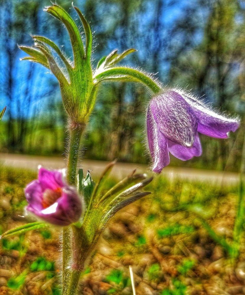 Photograph by Василий Садовский