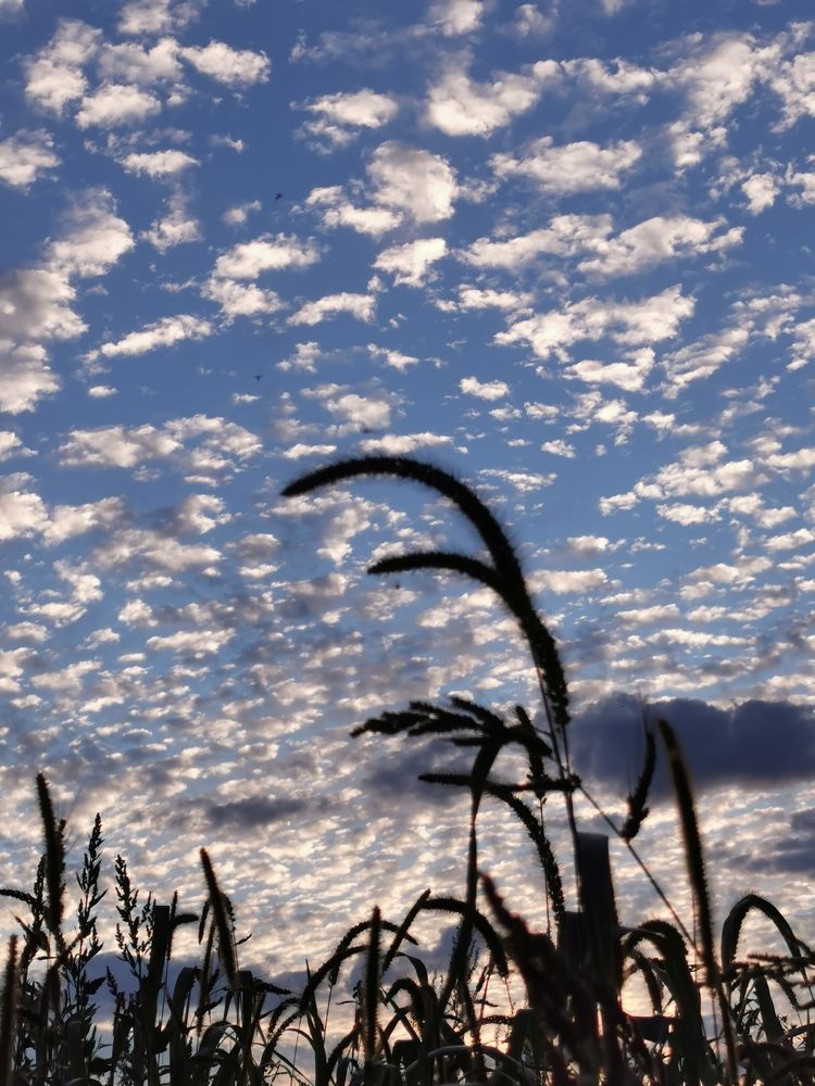 Photograph by Галина Кудрявцева