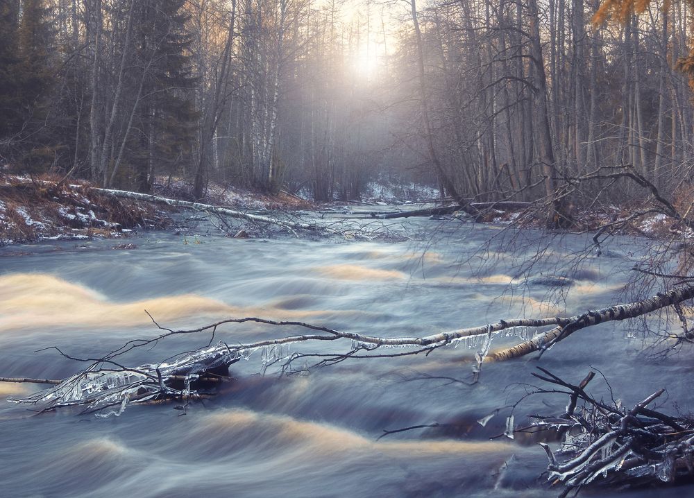 Photograph by Светлана Краюшкина