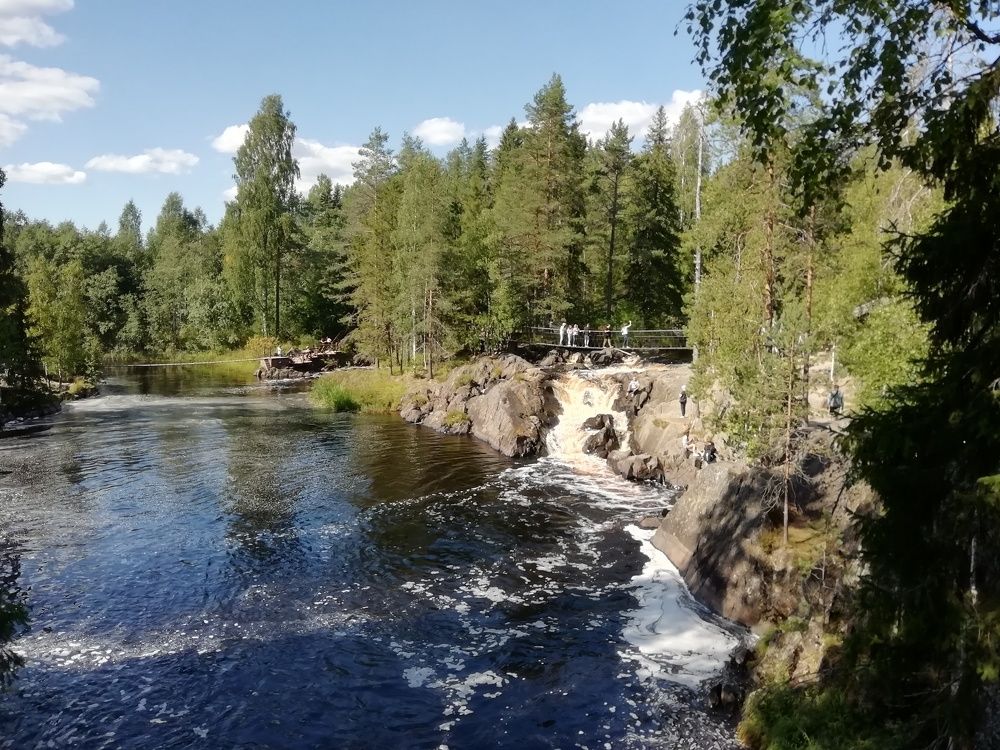 Photo #6140114