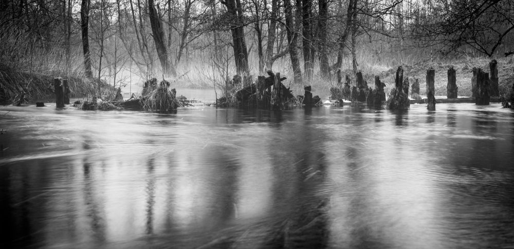 Река Молохта