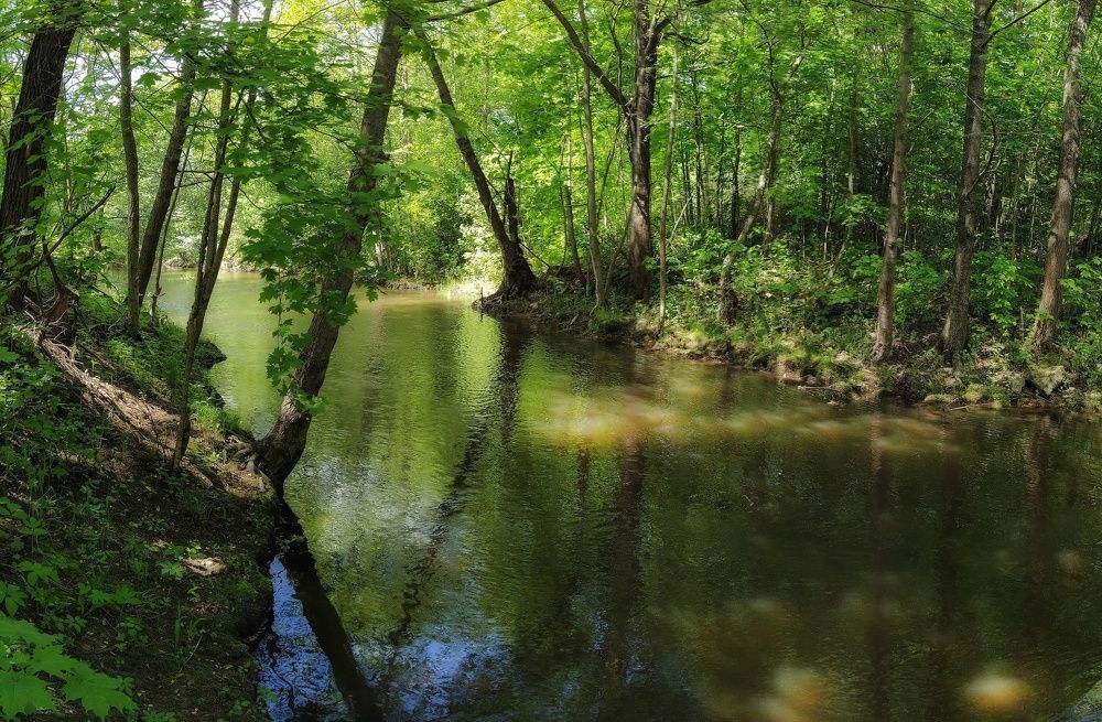 Photograph by Светлана Кондрашова