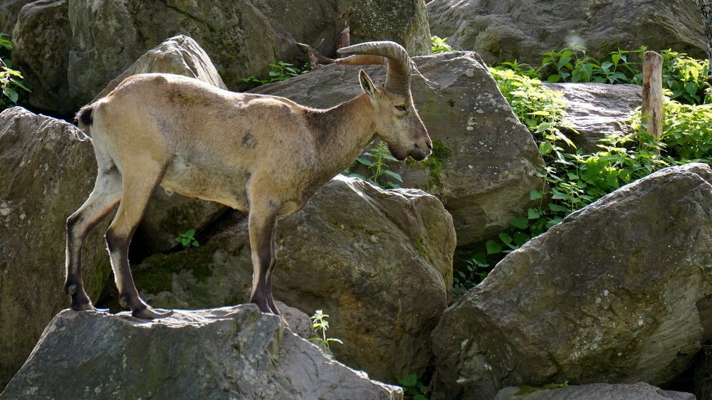 Photograph by Блюмина Елена