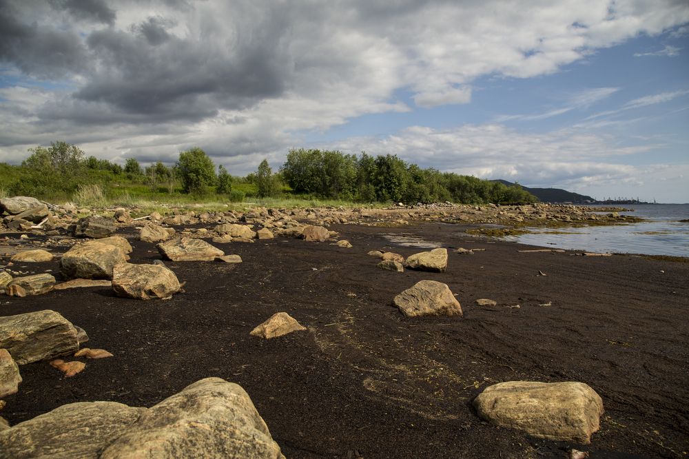 Photograph by Чернецкая Кристина