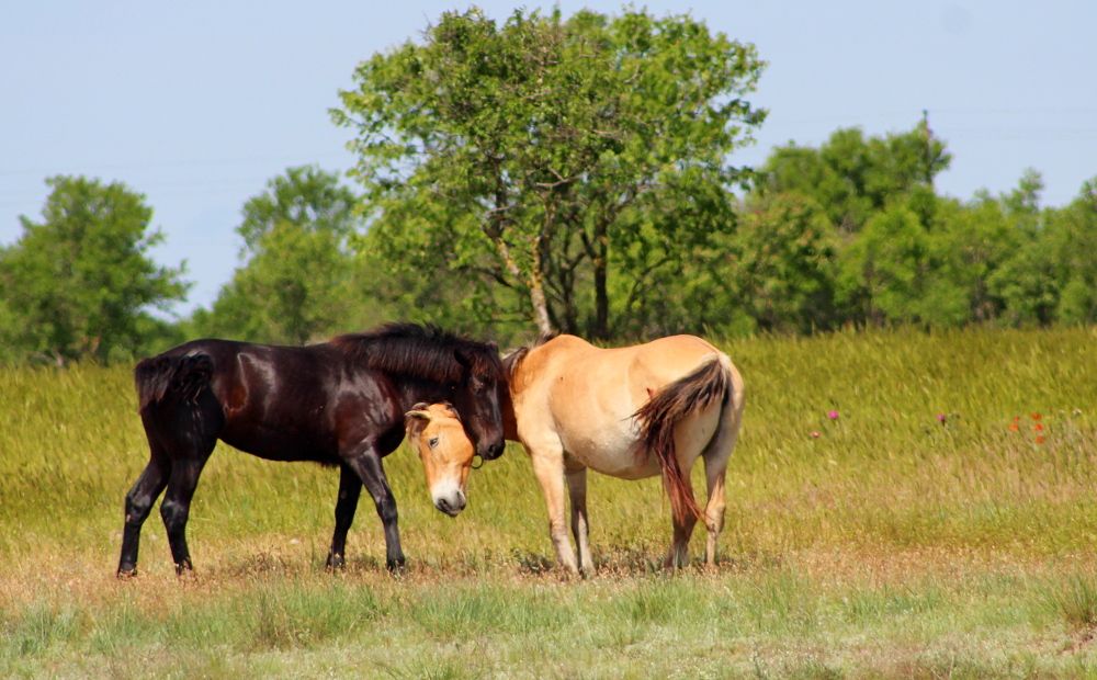 Photograph by Galina Tsmyg