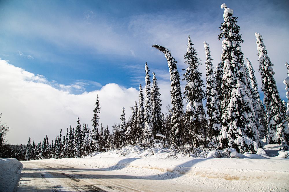 Photograph by Чернецкая Кристина