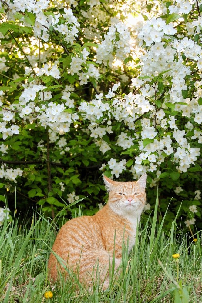 Photograph by Сергей Морозов