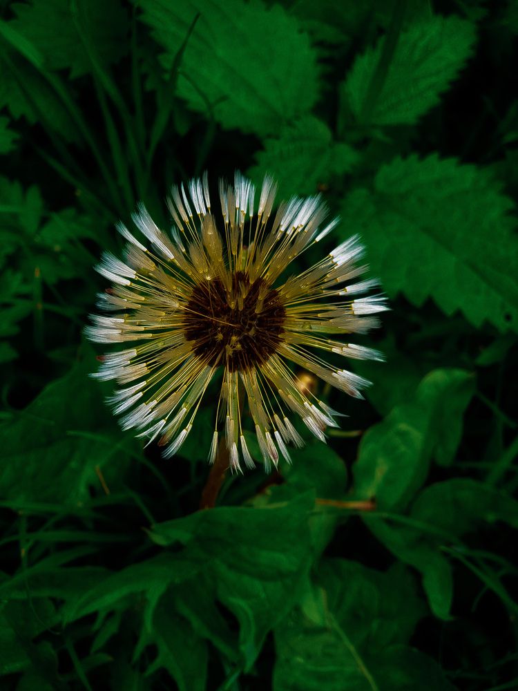 Photograph by Вера Крейдич