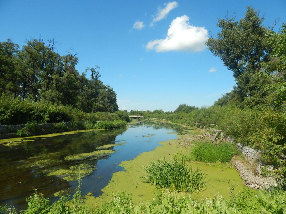 Яркий летний день.