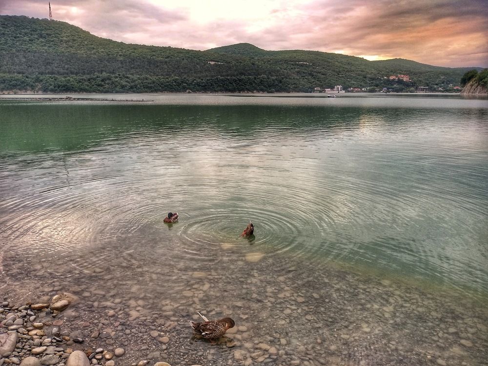 Photograph by Рыжик Алёна