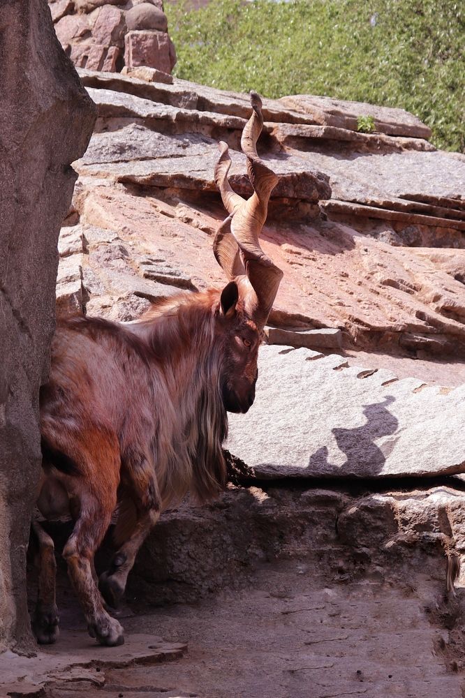 Photograph by Alexandr Tulinov