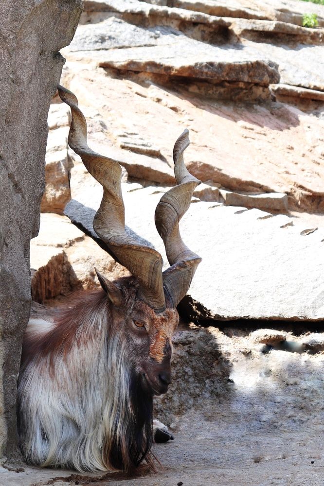 Photograph by Alexandr Tulinov