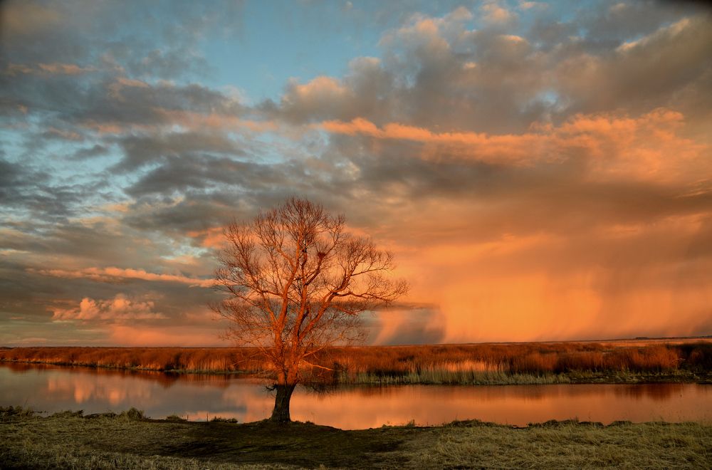 Photograph by Vitalijs Kopa