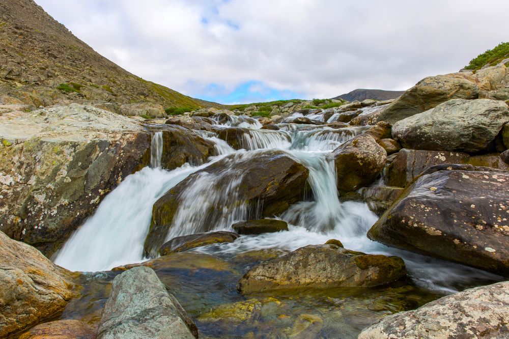 Речные косички.