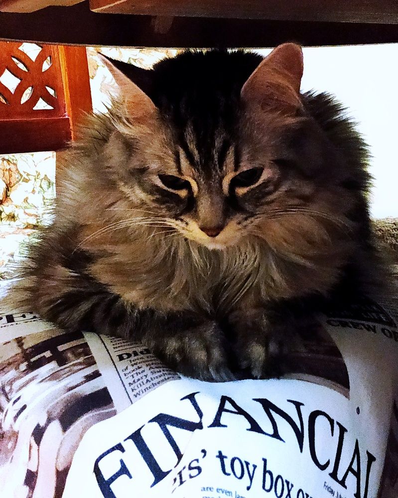 Photograph by Наталья Ефимова