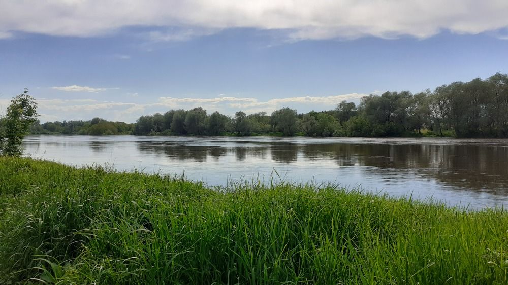 Photograph by Елена Лещева