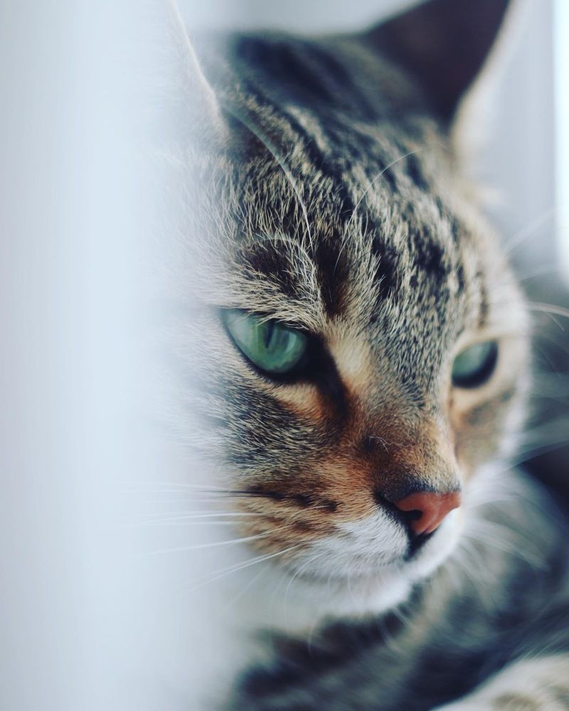 Photograph by Alexandr Tulinov