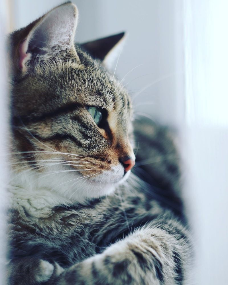 Photograph by Alexandr Tulinov