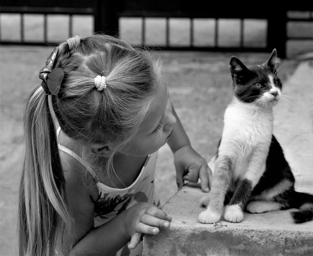 Photograph by Елена Кустова