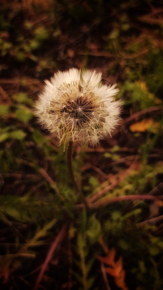 Photograph by Вера Крейдич