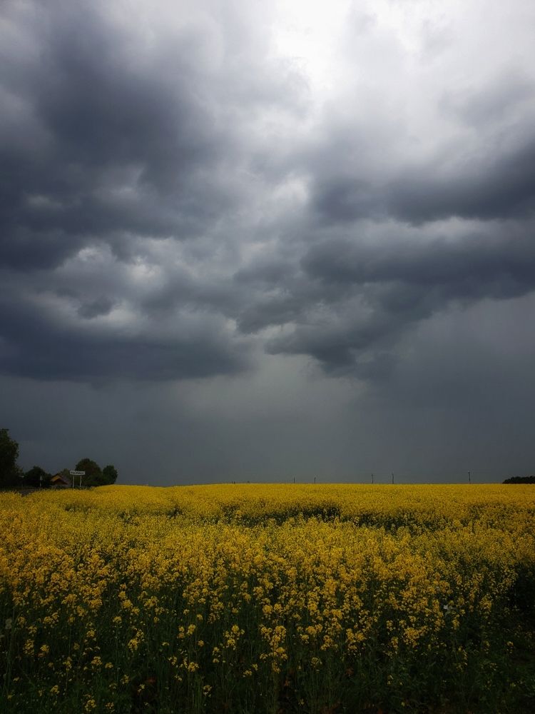 Photograph by Вера Крейдич