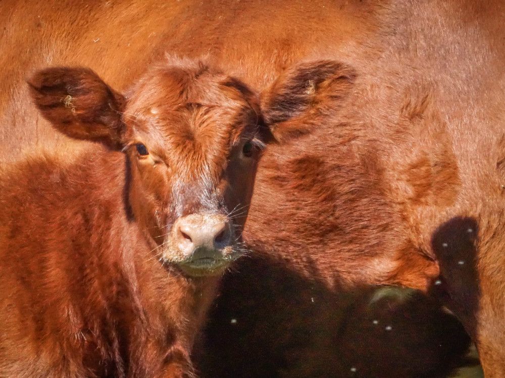 Photograph by Karina Elena Bergagna