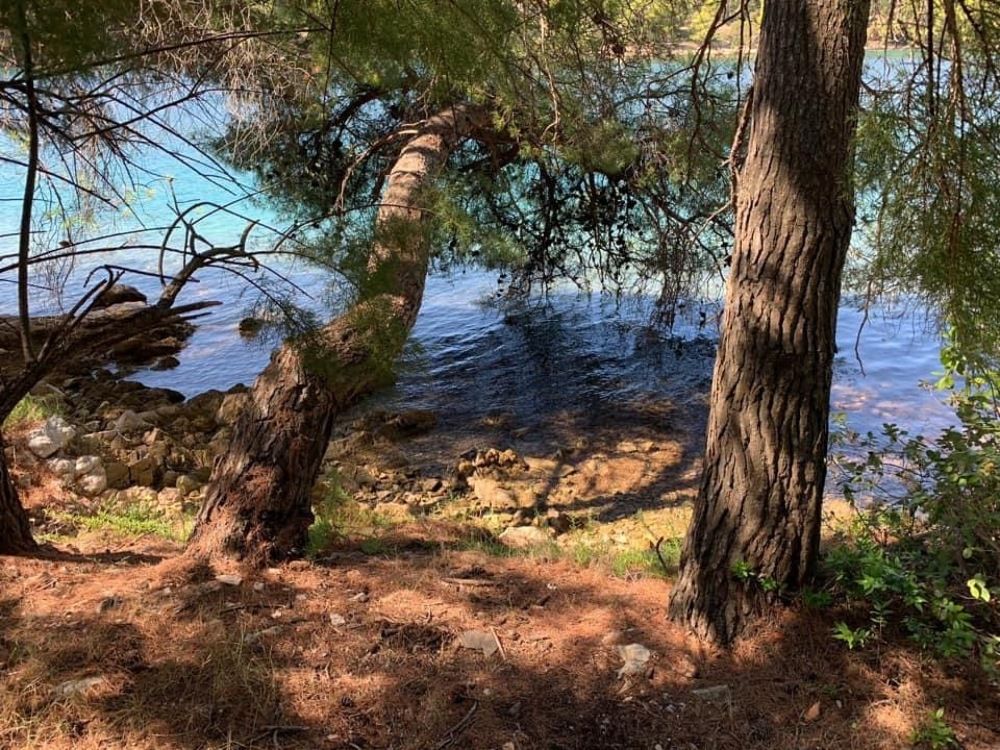 Photograph by Марина Неберекутина