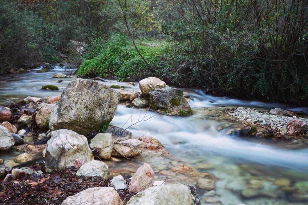 Photograph by Марина Неберекутина