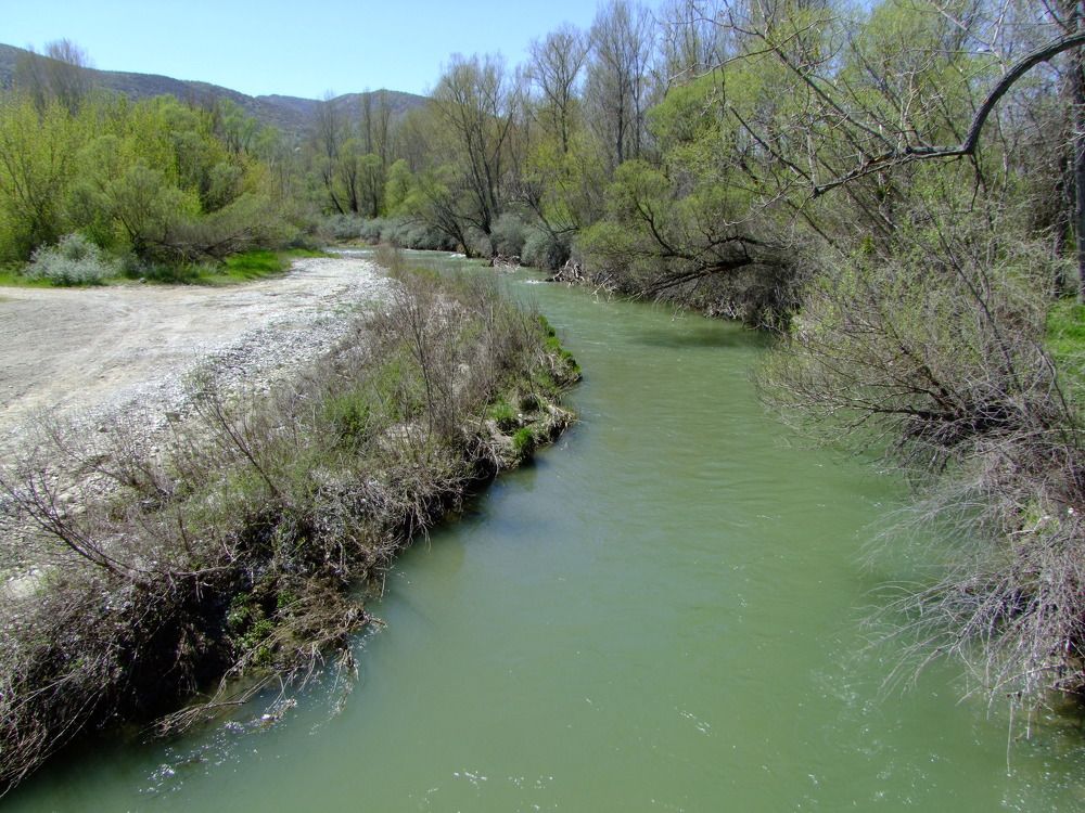 Photograph by Cengiz Yalcin