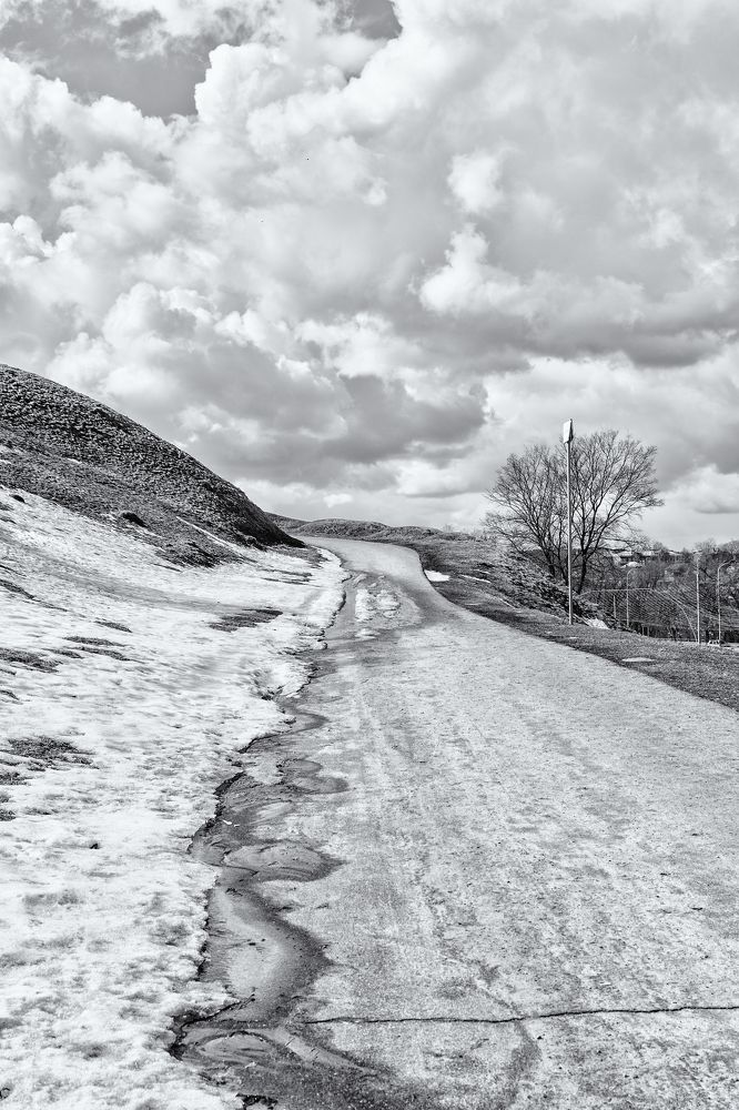 Photograph by Александра Стрелец