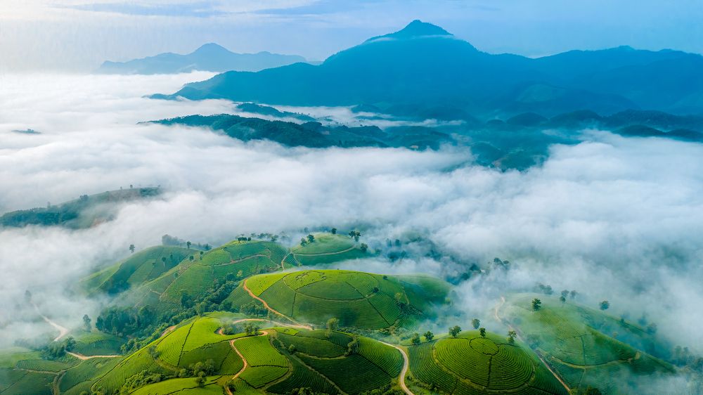 Photograph by Ngoc Minh Nguyen The