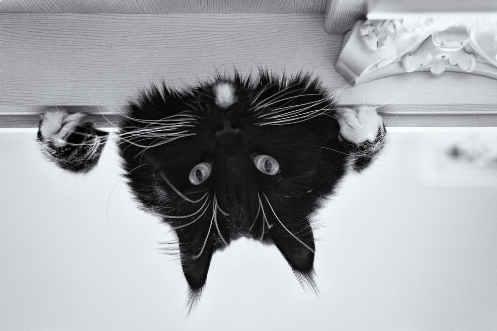 Photograph by Александра Стрелец